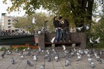 Pigeons, Amsterdam